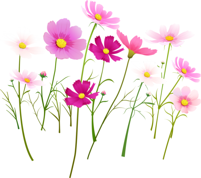 В.Л. цветы (30) (640x566, 257Kb)