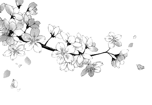 В.Л. цветы (37) (500x345, 68Kb)