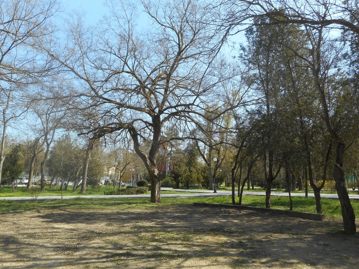 4878453_ukr_1109 (700x525, 379Kb)
