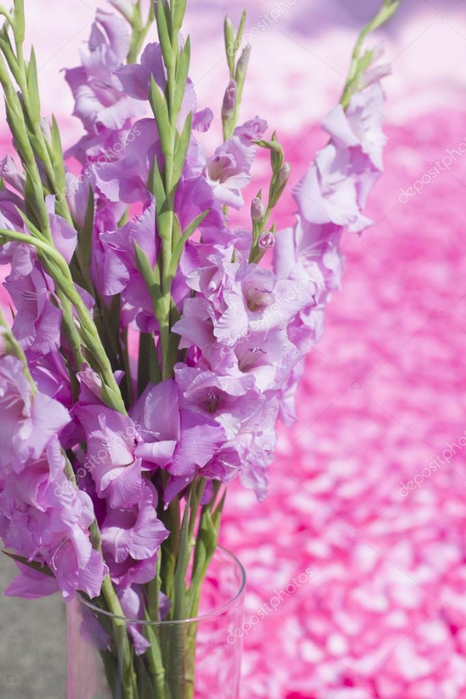 depositphotos_52335597-stock-photo-pink-gladiolus-flowers-bouquet-in (466x700, 347Kb)