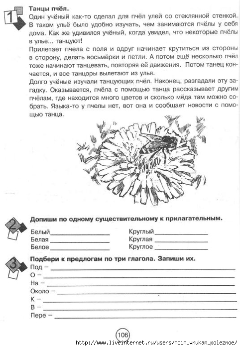 Zanimatelnaya_letnyaya_shkola_3-4_klass_107 (482x700, 201Kb)
