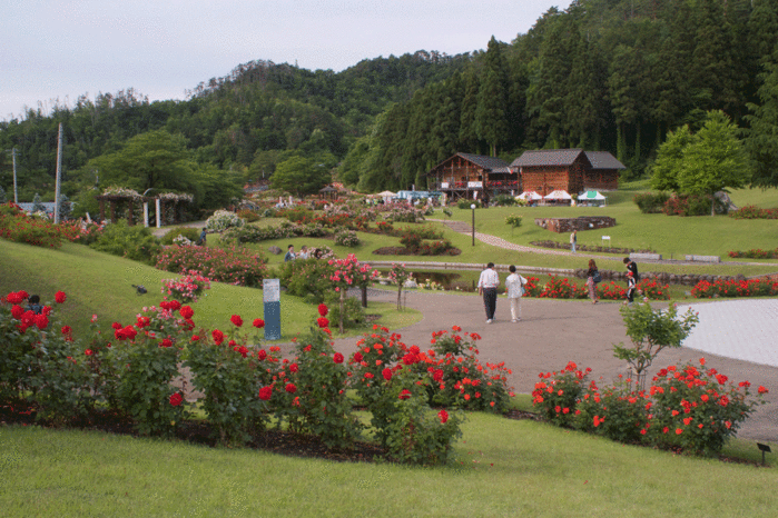 IMG_9830 (700x466, 260Kb)