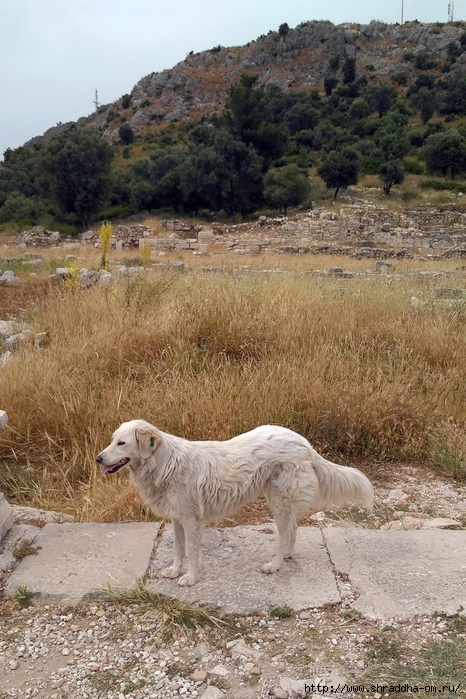 Xanthos, Turkey, ,  (8) (466x700, 328Kb)