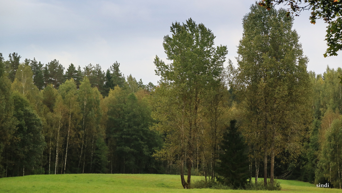 IMG_6834 (700x393, 354Kb)