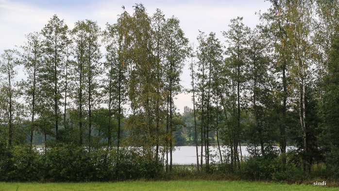 IMG_6865 (700x393, 426Kb)
