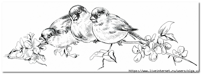 OldDesignShop_3BirdsonBranchSketch (700x258, 110Kb)