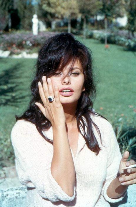 729 Sophia Loren    (462x700, 335Kb)
