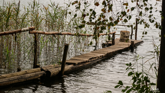 IMG_6887 (700x393, 450Kb)