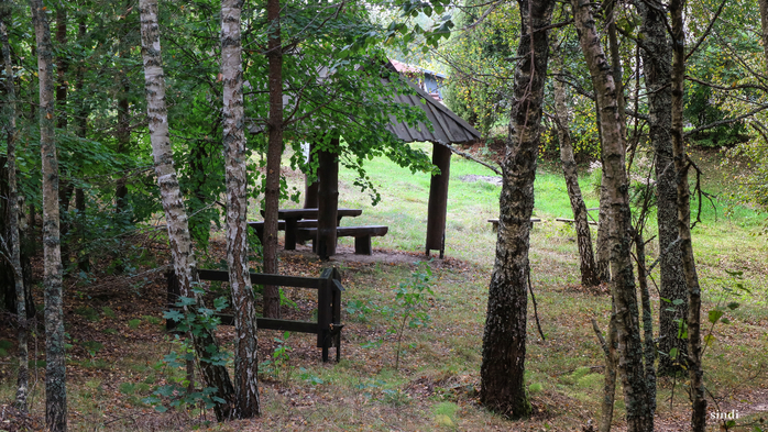 IMG_6902 (700x393, 502Kb)