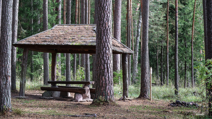 IMG_6924 (700x393, 476Kb)