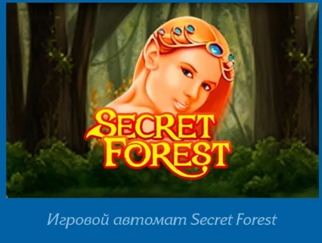     Secret Forest     