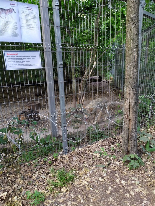IMG_20190611_185457 (525x700, 192Kb)