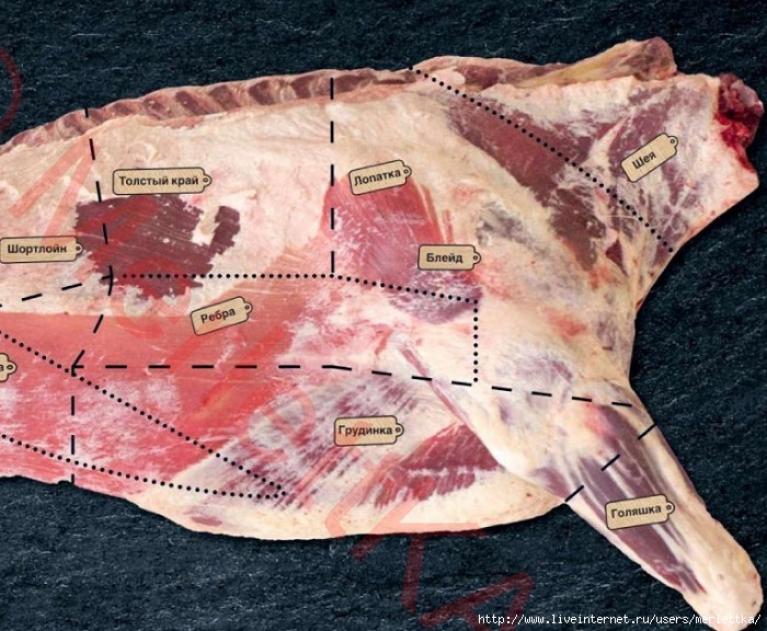 Говядина в разрезе по частям фото и названия