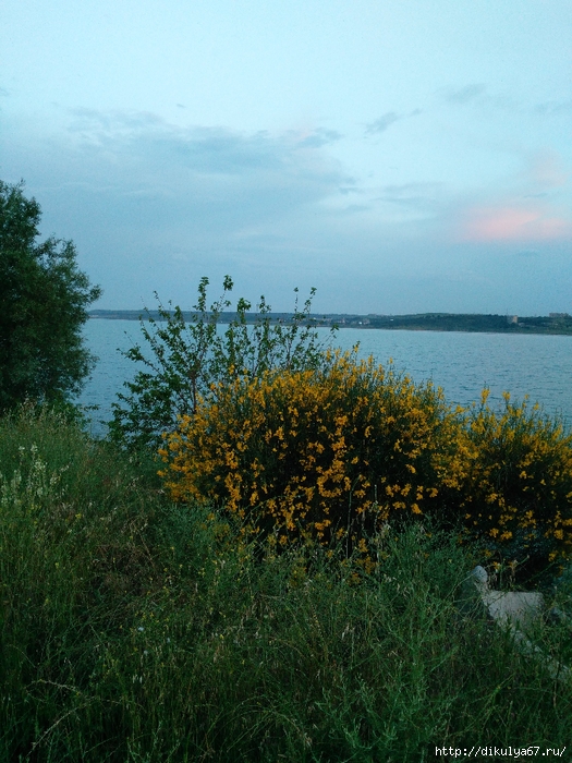 IMG_20190606_203728 (525x700, 346Kb)