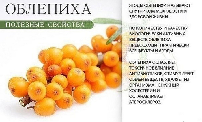 польза оранжевых плодов 7 (700x423, 237Kb)
