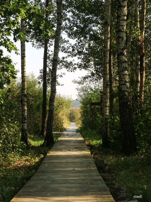 IMG_7012 (525x700, 598Kb)