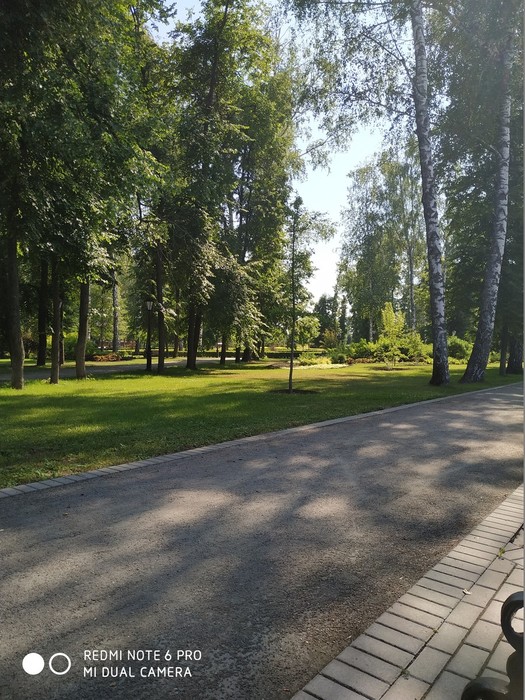 IMG_20190612_092041 (525x700, 159Kb)