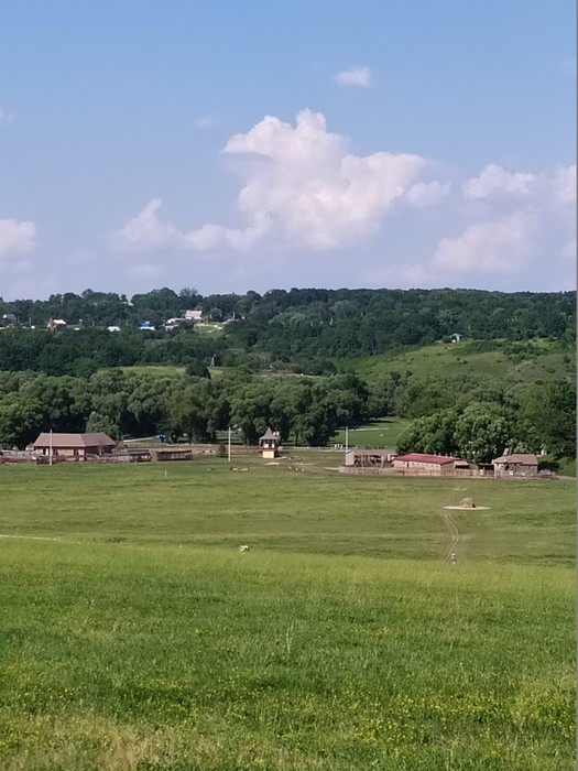 IMG_20190612_154522 (525x700, 97Kb)