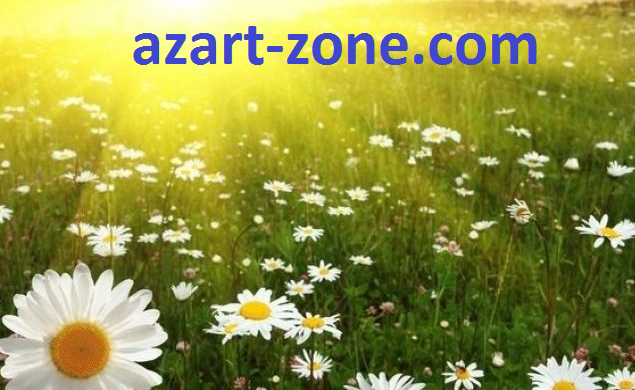 На «Аzart-zone.com» — всегда хорошая погода!