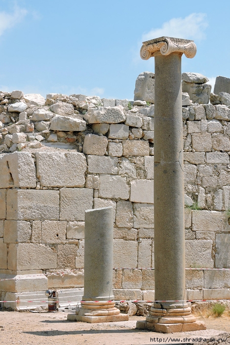 Patara, Turkey, , , Shraddhatravel (37) (466x700, 322Kb)