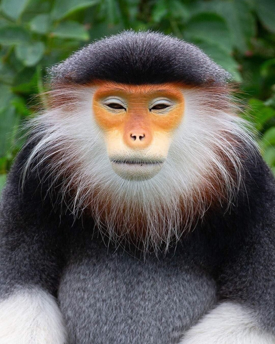 1 (560x700, 409Kb)
