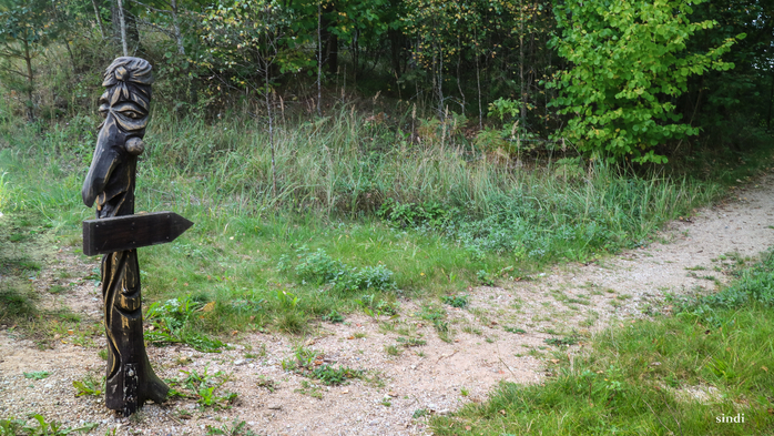 IMG_7069 (700x393, 485Kb)