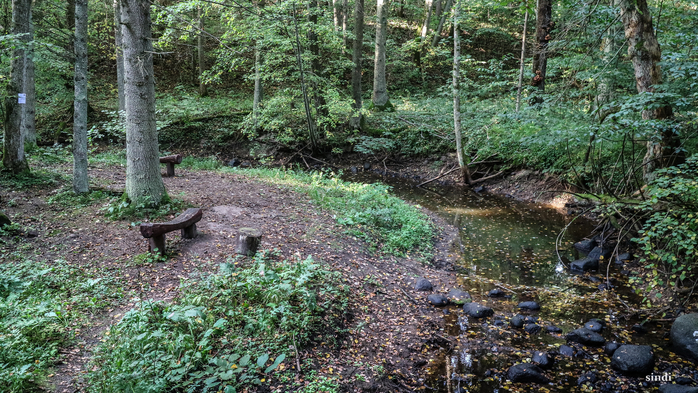 IMG_7114 (700x393, 502Kb)