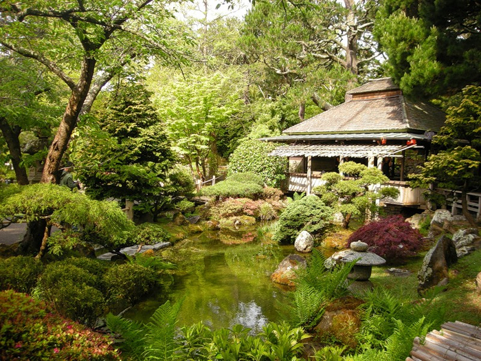 alt="  Japanese Tea Garden  -"