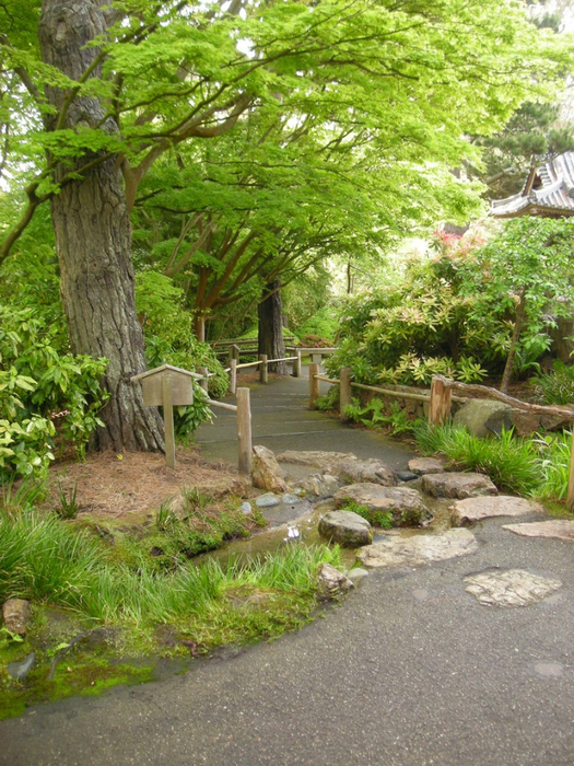 alt="  Japanese Tea Garden  -"