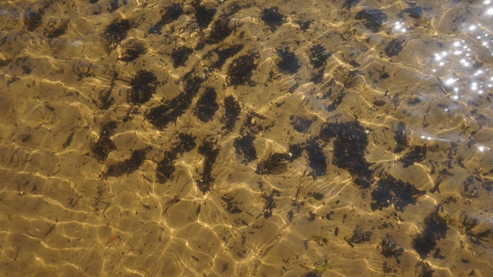 3434534_006 (700x393, 247Kb)