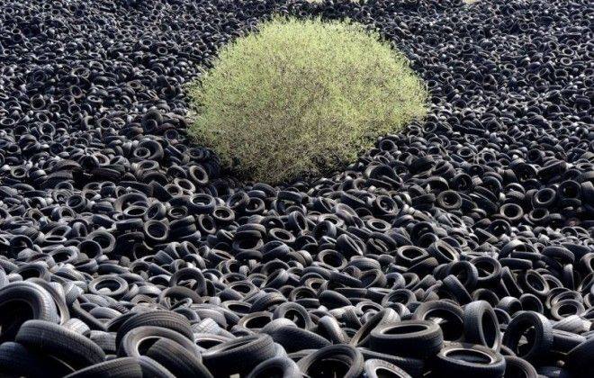 20841125_1999840923577198_8378911007498113827_n (660x420, 85Kb)