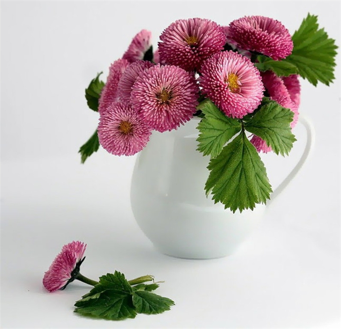 фотонатюрморт маргаритки и другие цветы 3 (700x675, 301Kb)