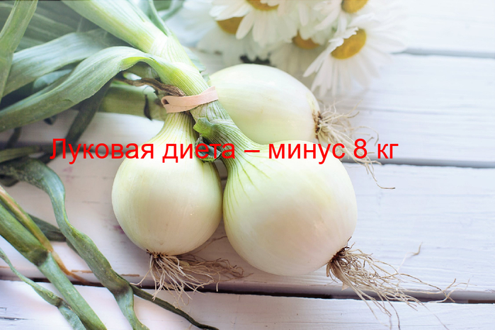 2835299_Lykovaya_dieta__minys_8_kg (700x466, 334Kb)