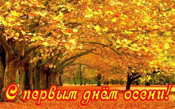 orig_b41bcdd146670e1fa0a820cedf473334 (604x377, 417Kb)