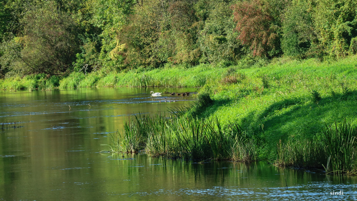 IMG_7200 (700x393, 470Kb)