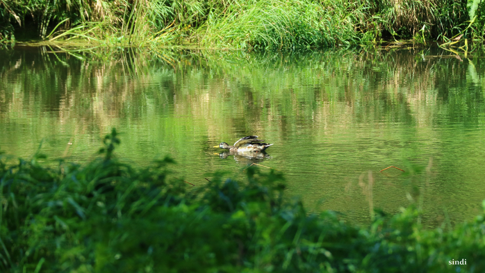 IMG_7230 (700x393, 404Kb)
