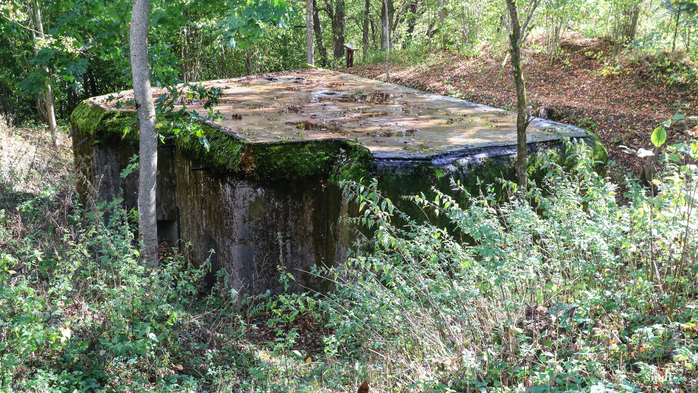 IMG_7380 (700x393, 547Kb)