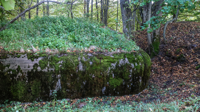 IMG_7371 (700x393, 505Kb)