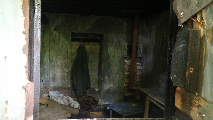 IMG_7379 (700x393, 258Kb)