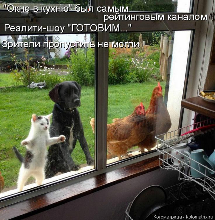 kotomatritsa__ (686x700, 488Kb)