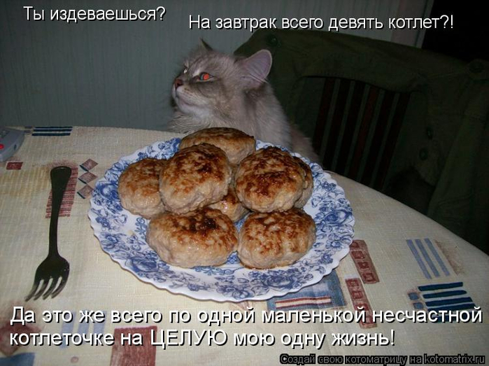 kotomatritsa_3 (700x523, 340Kb)