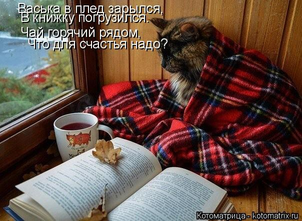 kotomatritsa_G (604x443, 277Kb)