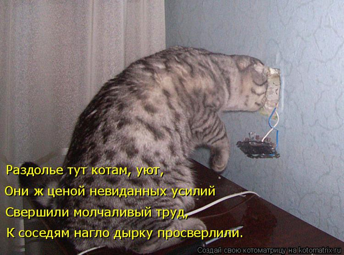kotomatritsa_rk (1) (700x518, 389Kb)