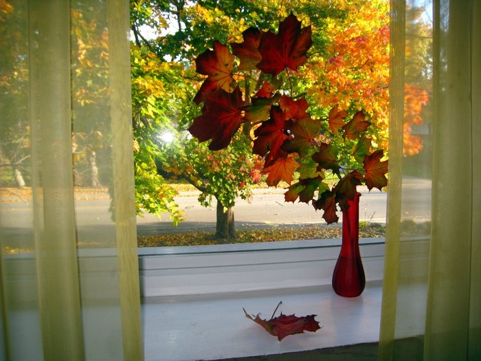 pic.jpg (700x525, 107Kb)