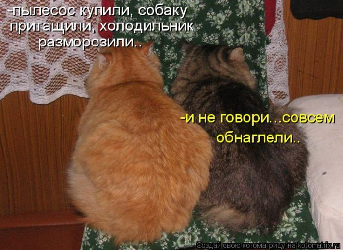1507231_cats (700x511, 263Kb)