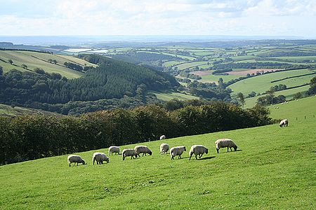 North_Molton,_towards_the_Mole_valley_-_geograph.org.uk_-_248811 (450x300, 165Kb)