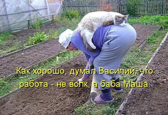 1417718450_5.jpg.438f550c1be0d8a32ede43de238c841c (700x480, 114Kb)