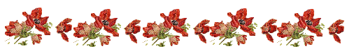 маки-цветочки (496x74, 10Kb)