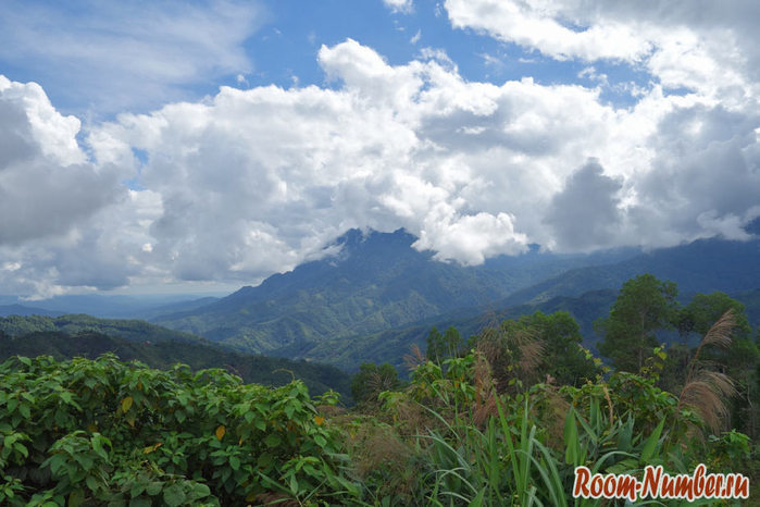 kinabalu-01 (700x466, 349Kb)