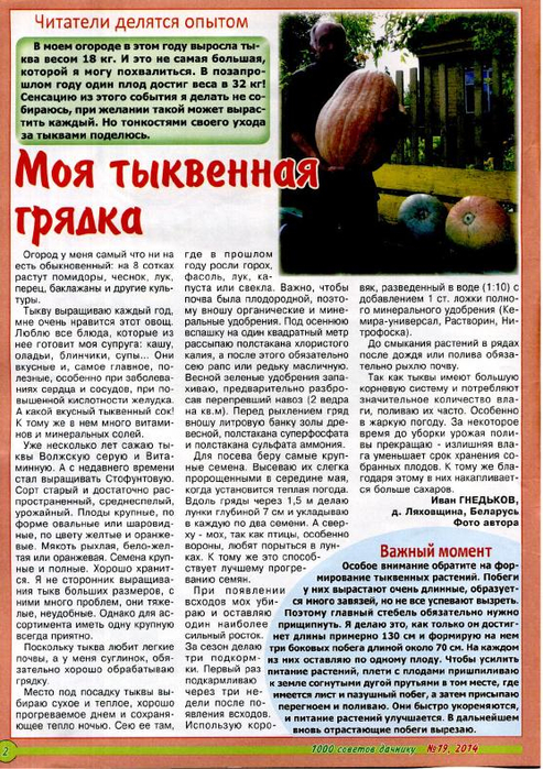 1000 советов дачнику 2014'19_2 (493x700, 456Kb)